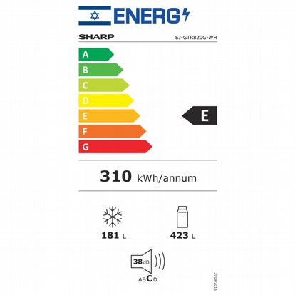 ���� ����� ����� 604 ���� Sharp ���� SJ-GTR820G-BK ������ �����