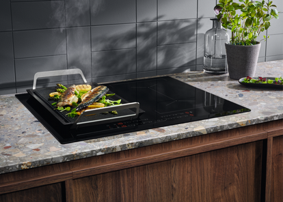 ������ ��������� ������� Electrolux EIV644 ����������