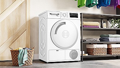 ����� ����� ��� 8 ���� �������� Bosch WTN83203 ��� 2024