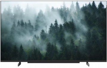 �������� ���� 55" �� Metz DLED 4K ��� 55MQE8600Z ��� ������ ���